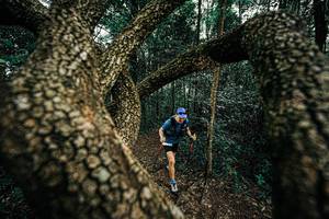 BIB: 
                            <button type="button" onclick="openModal(25393253)" class="btn btn-primary btn-sm float-right btn-popup" data-toggle="modal" data-target=".modal-high-quality">
                        <i class="fas fa-shopping-cart"></i> Add to Cart
                    </button>
                                            <button type="button" onclick="isThisMe(25393253, true)" class="btn btn-success btn-sm float-right btn-popup btn-isme hidden" data-toggle="tooltip" data-placement="bottom" title="นี่คือรูปของคุณใช่ไหม คลิกที่นี่เพื่อเอาเข้าอัลบั้ม">
                        <i class="fas fa-plus"></i> Add to album
                    </button>
                    <button type="button" onclick="isThisMe(25393253, false)" class="btn btn-warning btn-sm float-right btn-popup btn-isnotme hidden">
                        <i class="fas fa-ban"></i> Remove from album
                    </button>